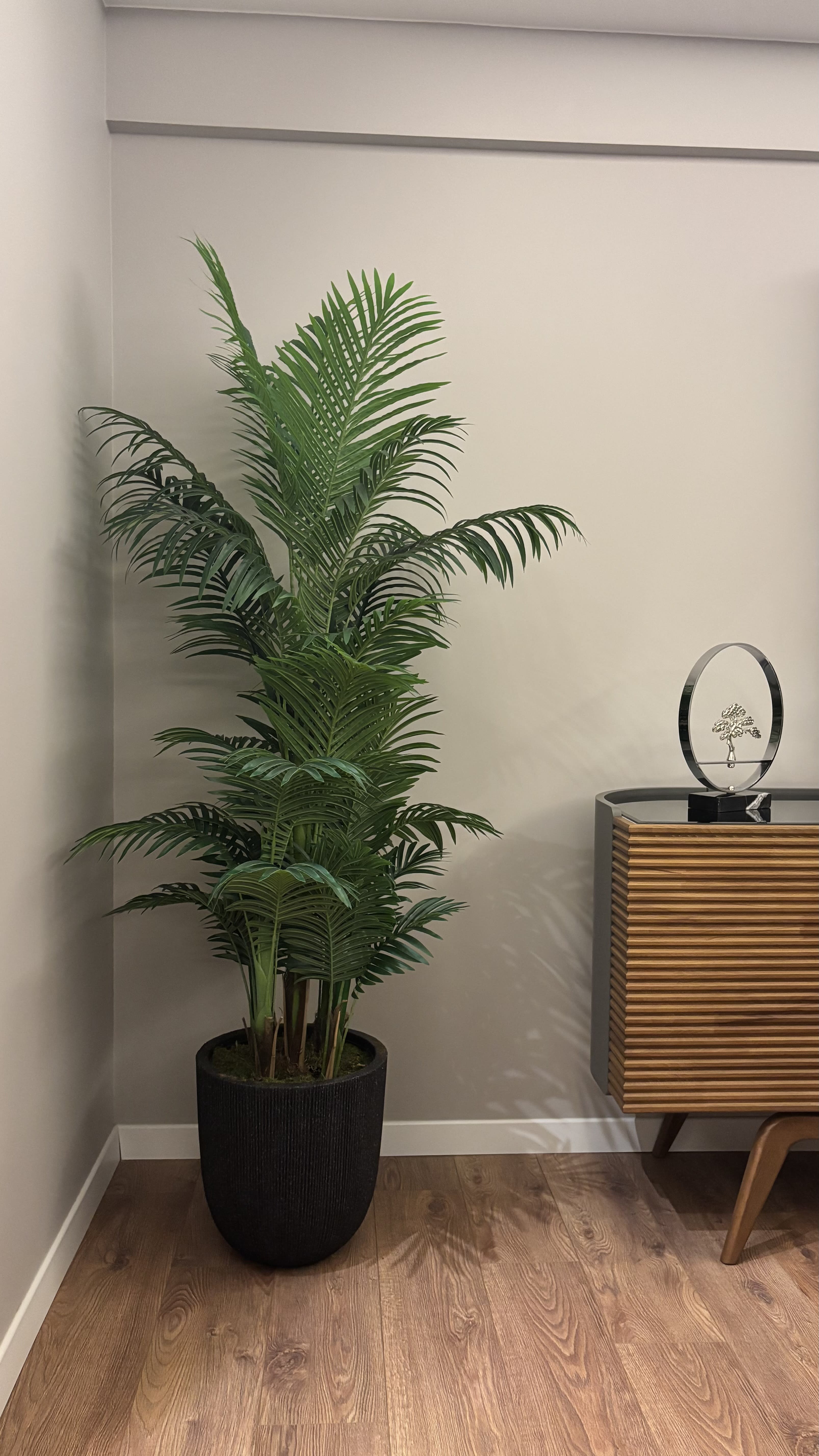 Areca Palmiye 180 cm 3