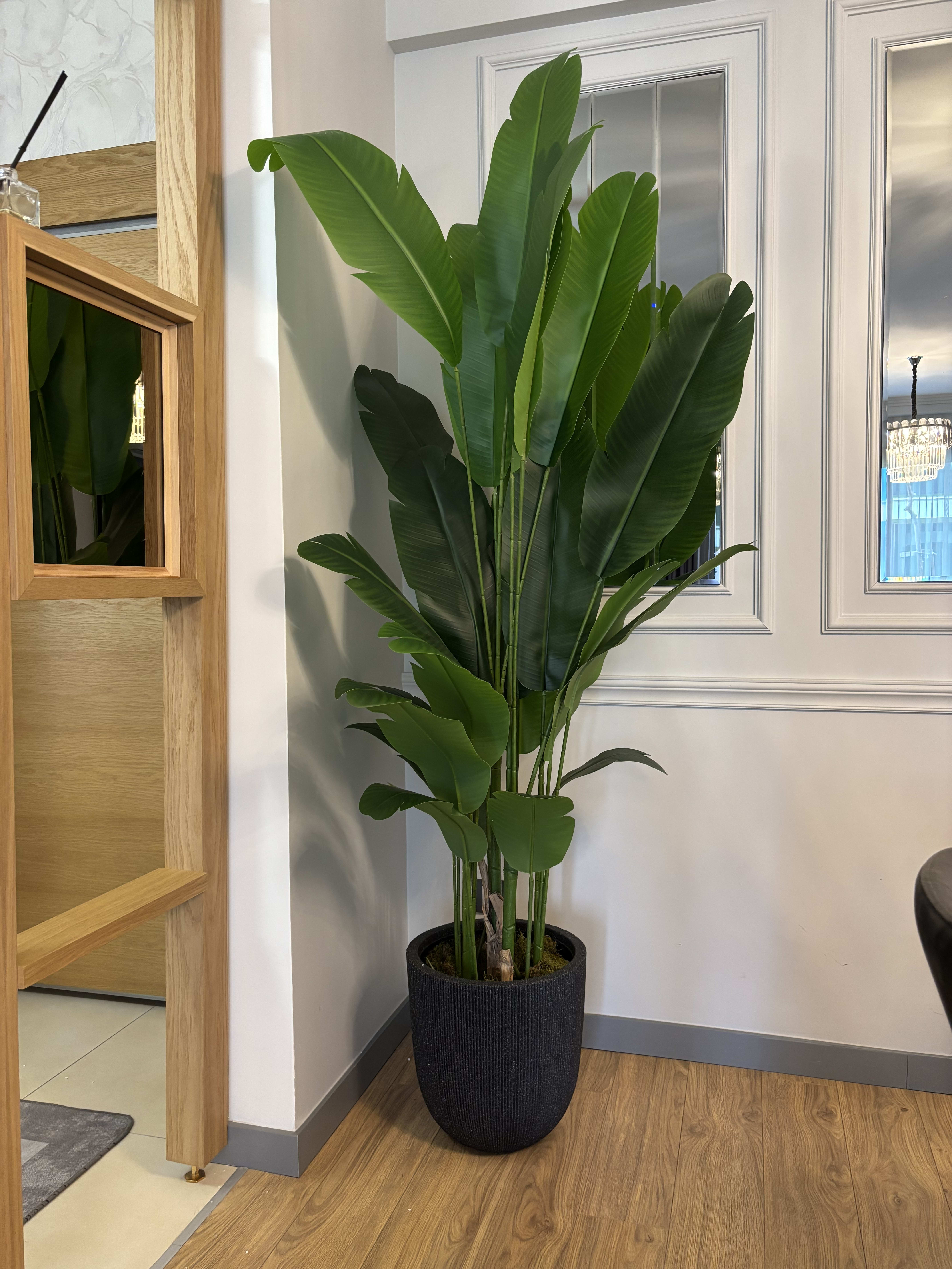 Yapay Starliçe 185 cm  3