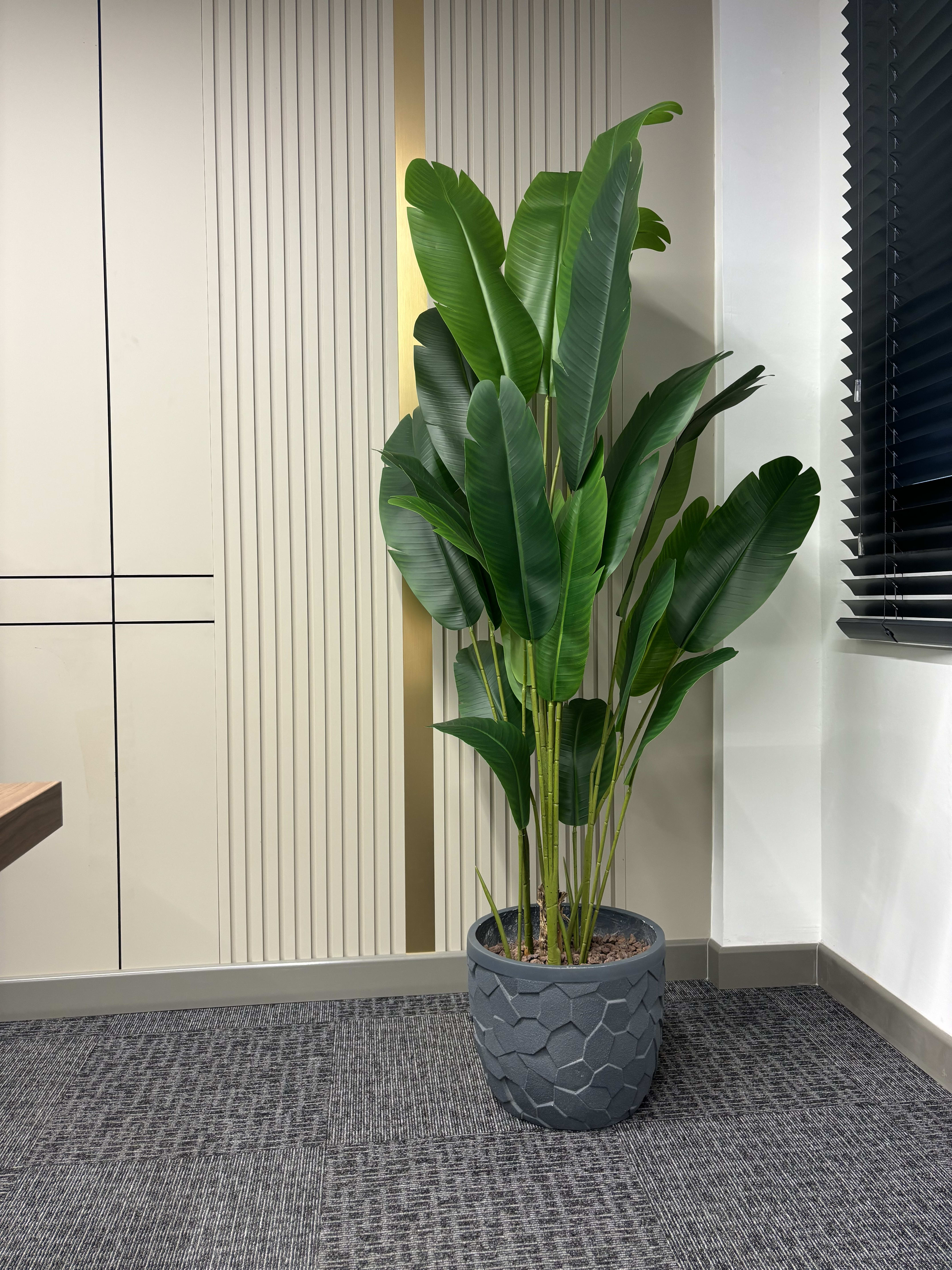 Yapay Starliçe 185 cm  2